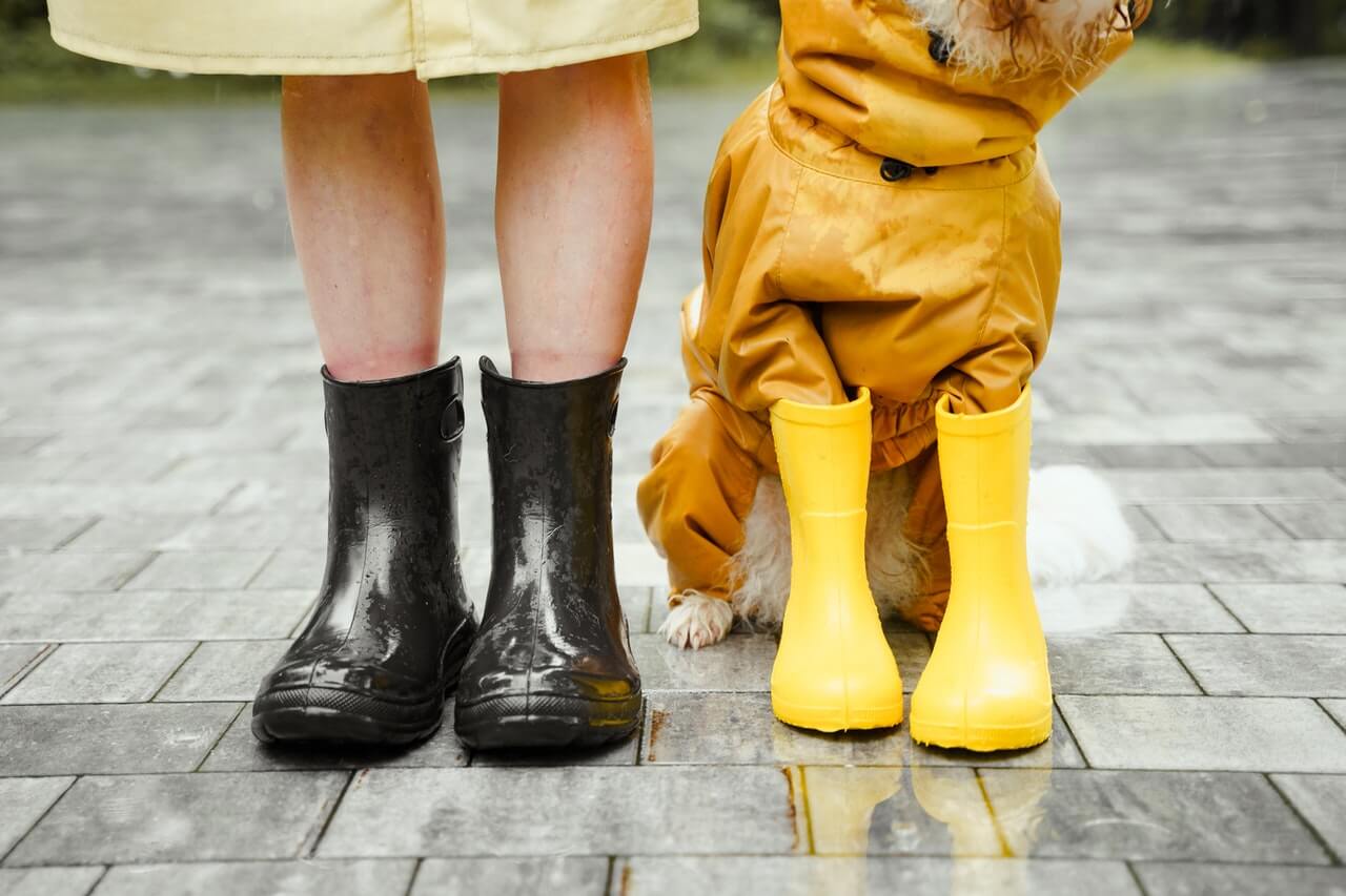 נעליים עמידות בגשם